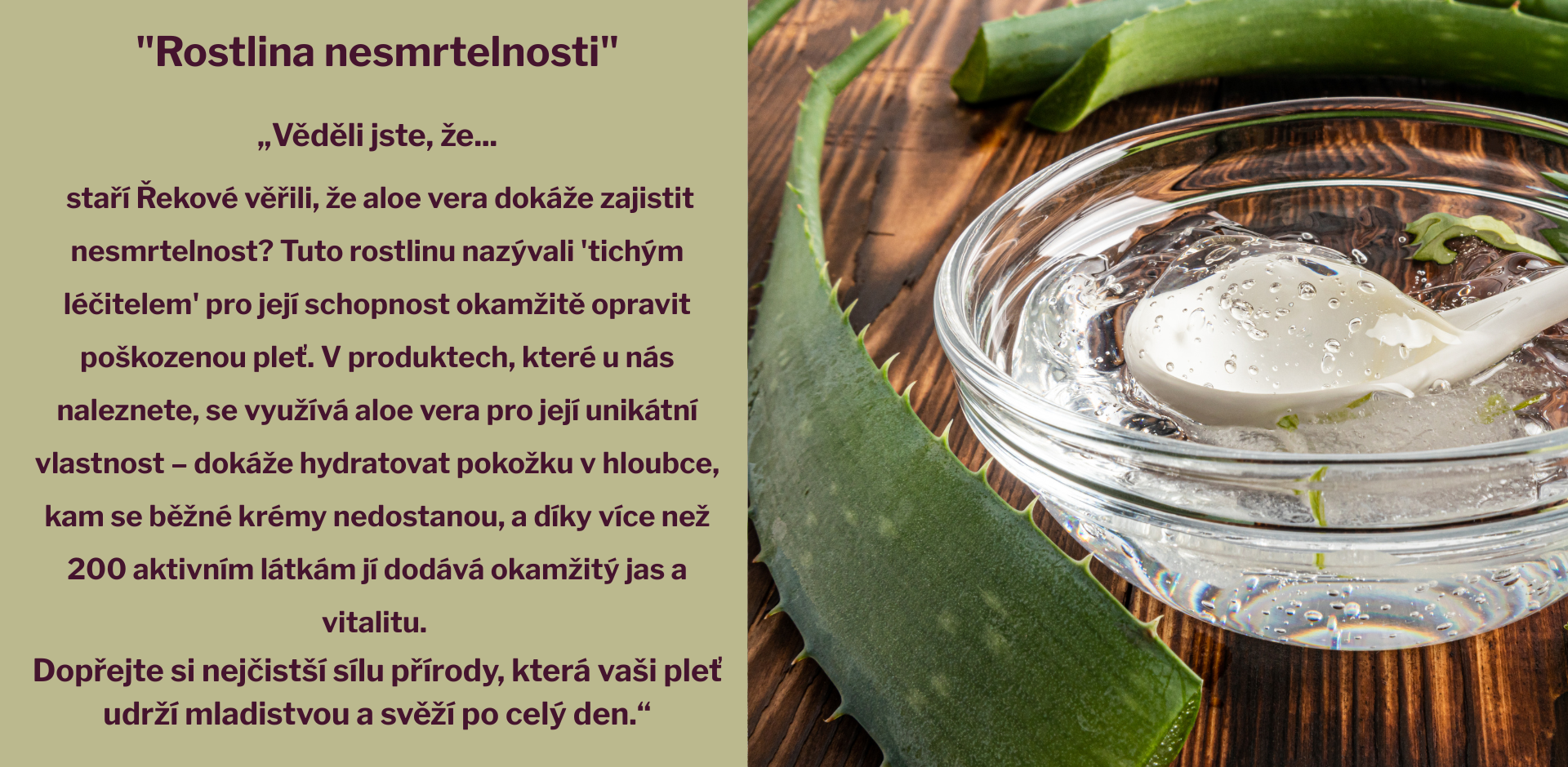 Věděli jste, že... krétský olivový olej je díky unikátnímu mikroklimatu ostrova považován za jeden z nejkvalitnějších na světě Místní ho nazývají tekutým zlatem pro dlouhověkost, protože díky ko (2)